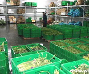 塑料周轉(zhuǎn)筐能用多少年？